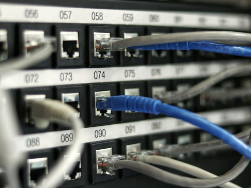 Blue and gray Ethernet cables plugged into a numbered patch panel